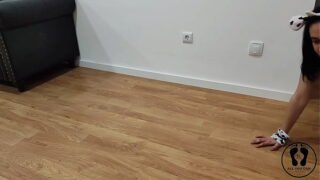 mad cow mooing for her bulls cock in livingroom